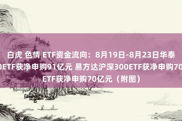 白虎 色情 ETF资金流向：8月19日-8月23日华泰柏瑞沪深300ETF获净申购91亿元 易方达沪深300ETF获净申购70亿元（附图）