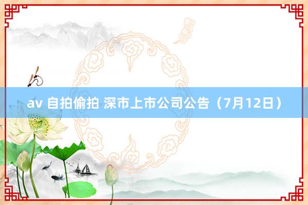 av 自拍偷拍 深市上市公司公告（7月12日）