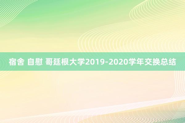 宿舍 自慰 哥廷根大学2019-2020学年交换总结