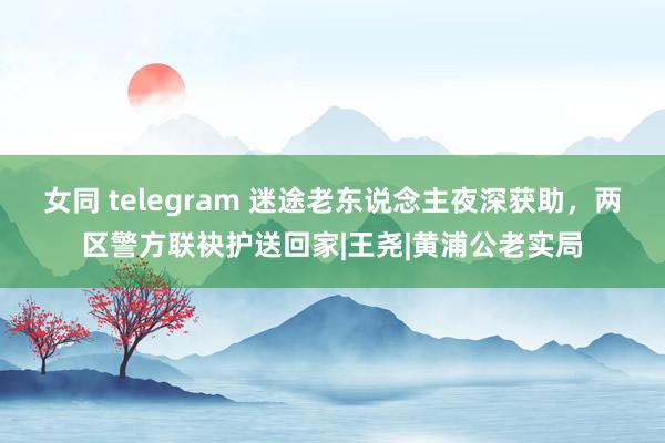 女同 telegram 迷途老东说念主夜深获助，两区警方联袂护送回家|王尧|黄浦公老实局