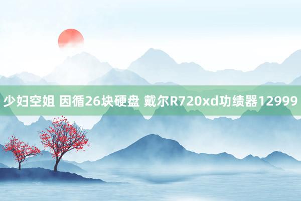 少妇空姐 因循26块硬盘 戴尔R720xd功绩器12999