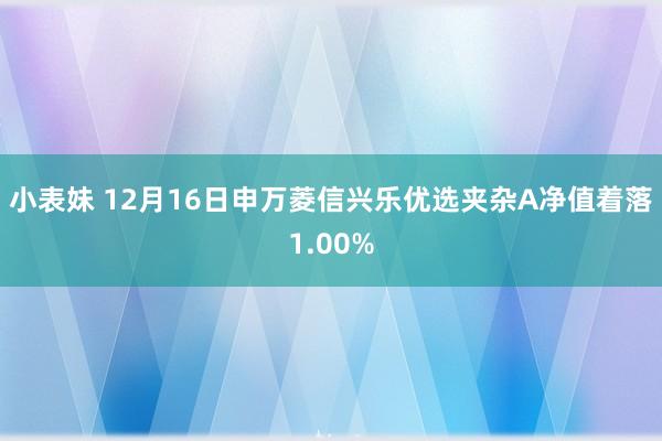 小表妹 12月16日申万菱信兴乐优选夹杂A净值着落1.00%