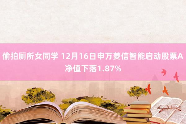 偷拍厕所女同学 12月16日申万菱信智能启动股票A净值下落1.87%