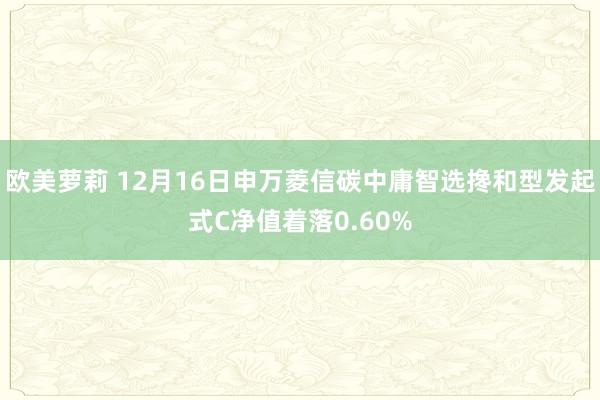 欧美萝莉 12月16日申万菱信碳中庸智选搀和型发起式C净值着落0.60%